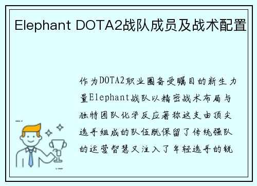 Elephant DOTA2战队成员及战术配置